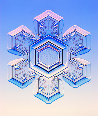 Stellar plate snowflake by Kenneth Libbrechtm CalTech