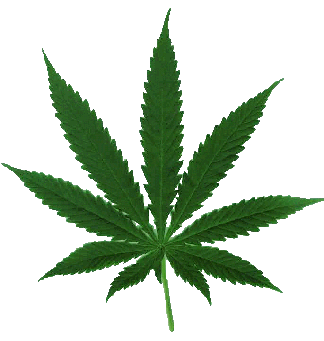 marijuana_leaf